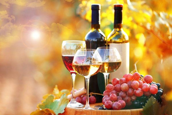 Pourquoi investir dans le vin est une bonne idée ?